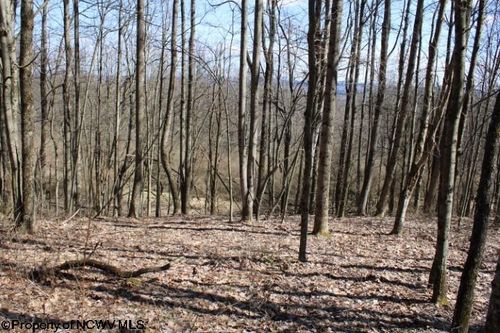 Lot 2 Sand Bank Heights Road, Masontown, WV, 26542 | Card Image
