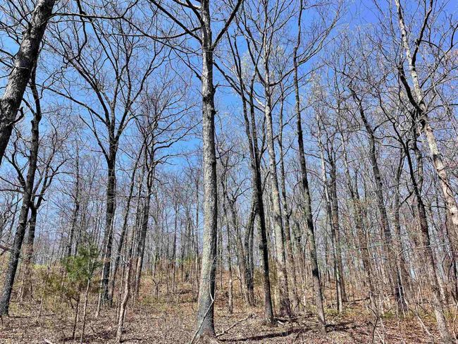 000 Dabney Rd, Home with 0 bedrooms, 0 bathrooms and null parking in Jerusalem AR | Image 10