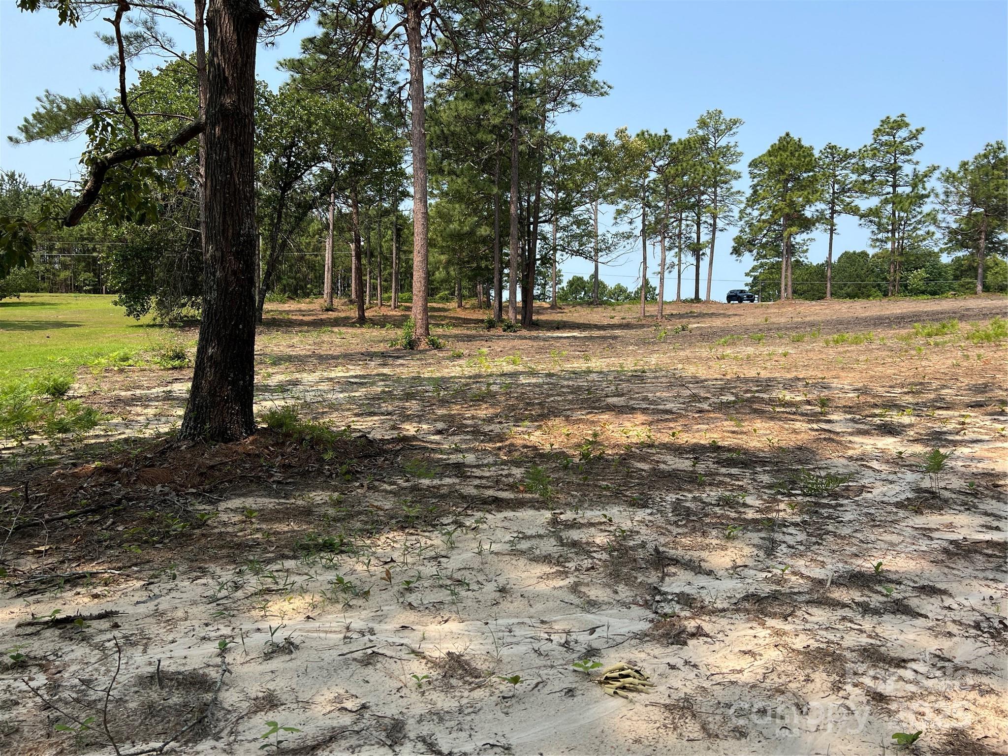 Land in Hartsville 3