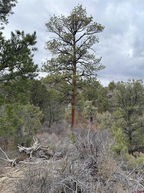 1479 La Posta Canyon Rd, Durango, CO, 81303-9005 | Card Image