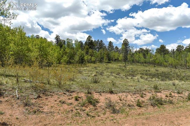 130 Eleven Mile State Park, Home with 0 bedrooms, 0 bathrooms and null parking in Lake George CO | Image 22