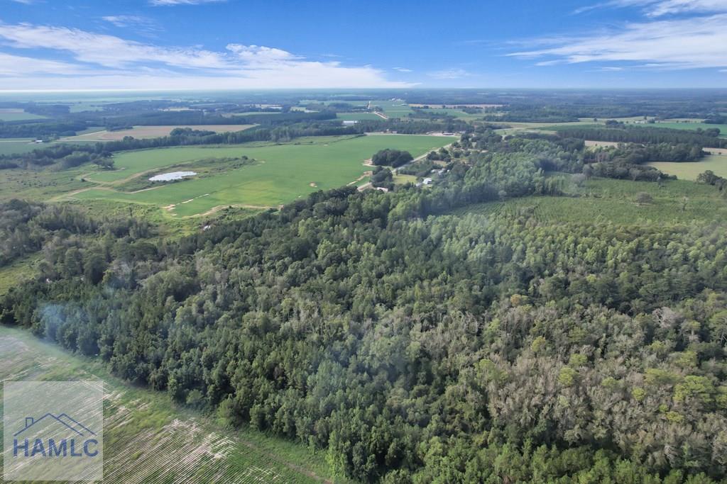 Land in Screven 4