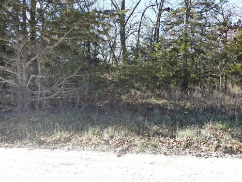 000 Se 951 Rd, Collins, MO, 64738 | Card Image