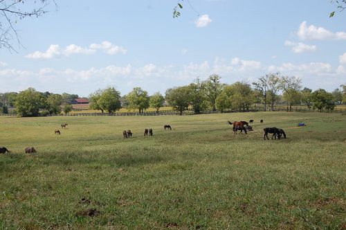 990 Clay Kiser Rd, Paris, KY, 40361-9719 | Card Image