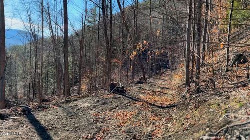 0 Gorge Rd, Middleburgh, NY, 12122 | Card Image