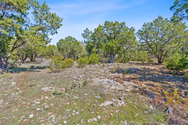 105 Camp Springs Ln, Home with 0 bedrooms, 0 bathrooms and null parking in Georgetown TX | Image 17