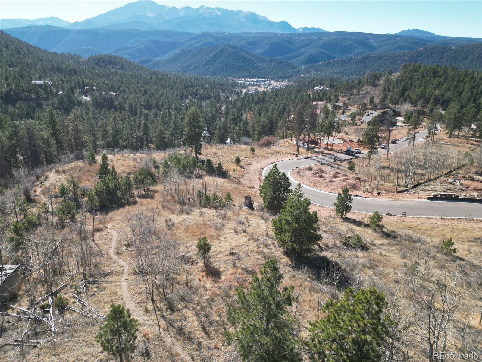 Land in Woodland Park 3