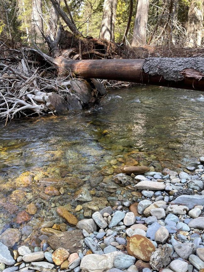 Piper Creek before run off | Image 37