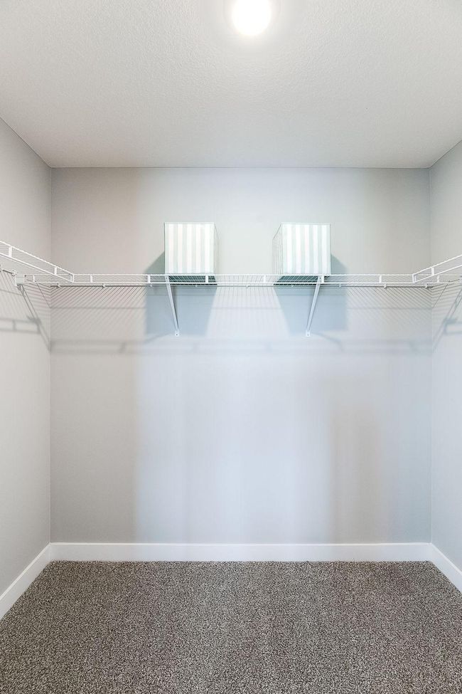 And then there's this: One of TWO large walk-in closets, connected to the primary bathroom. Photo of model home, color & options may vary. | Image 22