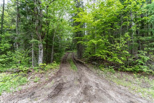 2524 Fern Glen Rd, Sprucedale, ON, P0A1Y0 | Card Image