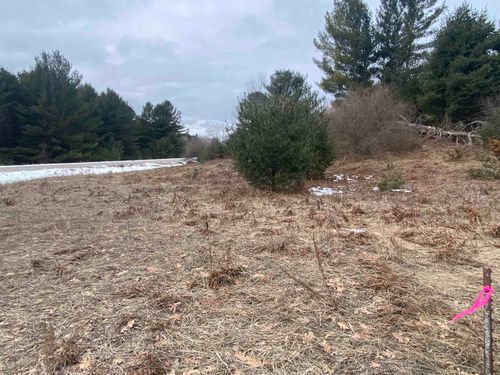 Lot 35 Scenic Hills Dr, Williamsburg, MI, 49690 | Card Image