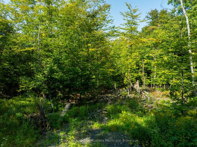 18 Burnside Bridge Rd, Home with 0 bedrooms, 0 bathrooms and null parking in Mcdougall ON | Image 17