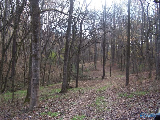 2176 Columbia Hwy, Home with 0 bedrooms, 0 bathrooms and null parking in Pulaski TN | Image 14