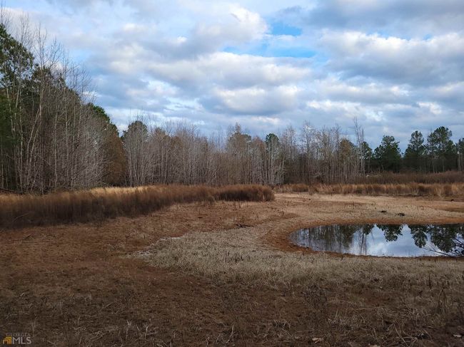 2757 Us Highway 1 N, Home with 0 bedrooms, 0 bathrooms and null parking in swainsboro GA | Image 24