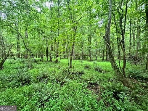 0 Cedar Ln, Danielsville, GA, 30633 | Card Image