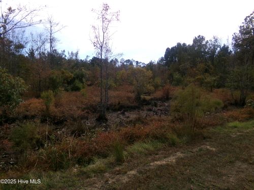 Lot 44964 Big Island Rd, White Oak, NC, 28399 | Card Image