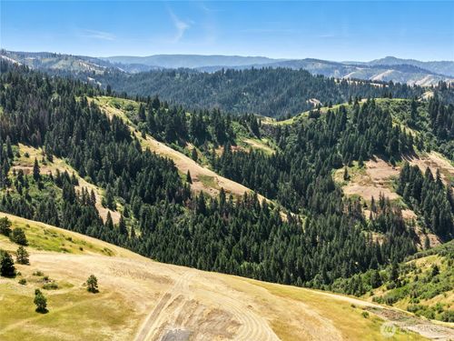 0 Seaman Road, Dixie, WA, 99329 | Card Image