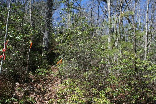 TBD Summit Dr, MONTEREY, VA, 24465 | Card Image