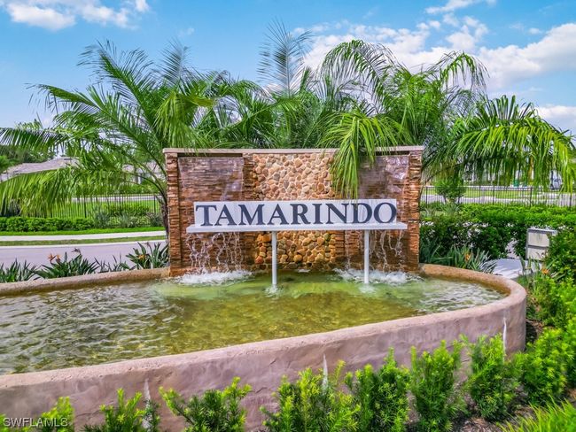 Welcome to Tamarindo - a new luxury single-family home community conveniently located between Marco Island and downtown Naples! | Image 2