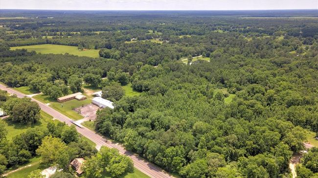00 Fm 770 Rd, Home with 0 bedrooms, 0 bathrooms and null parking in Batson TX | Image 21