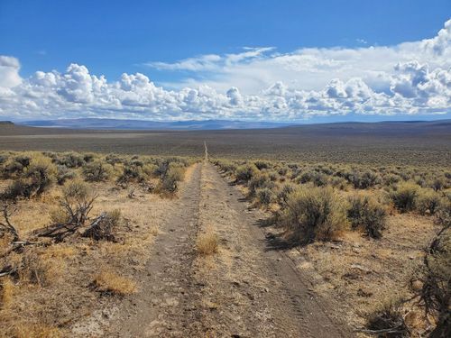 120 Ne4 Sec 22 Twp 41 Rge 19, Reno, NV, 89412 | Card Image