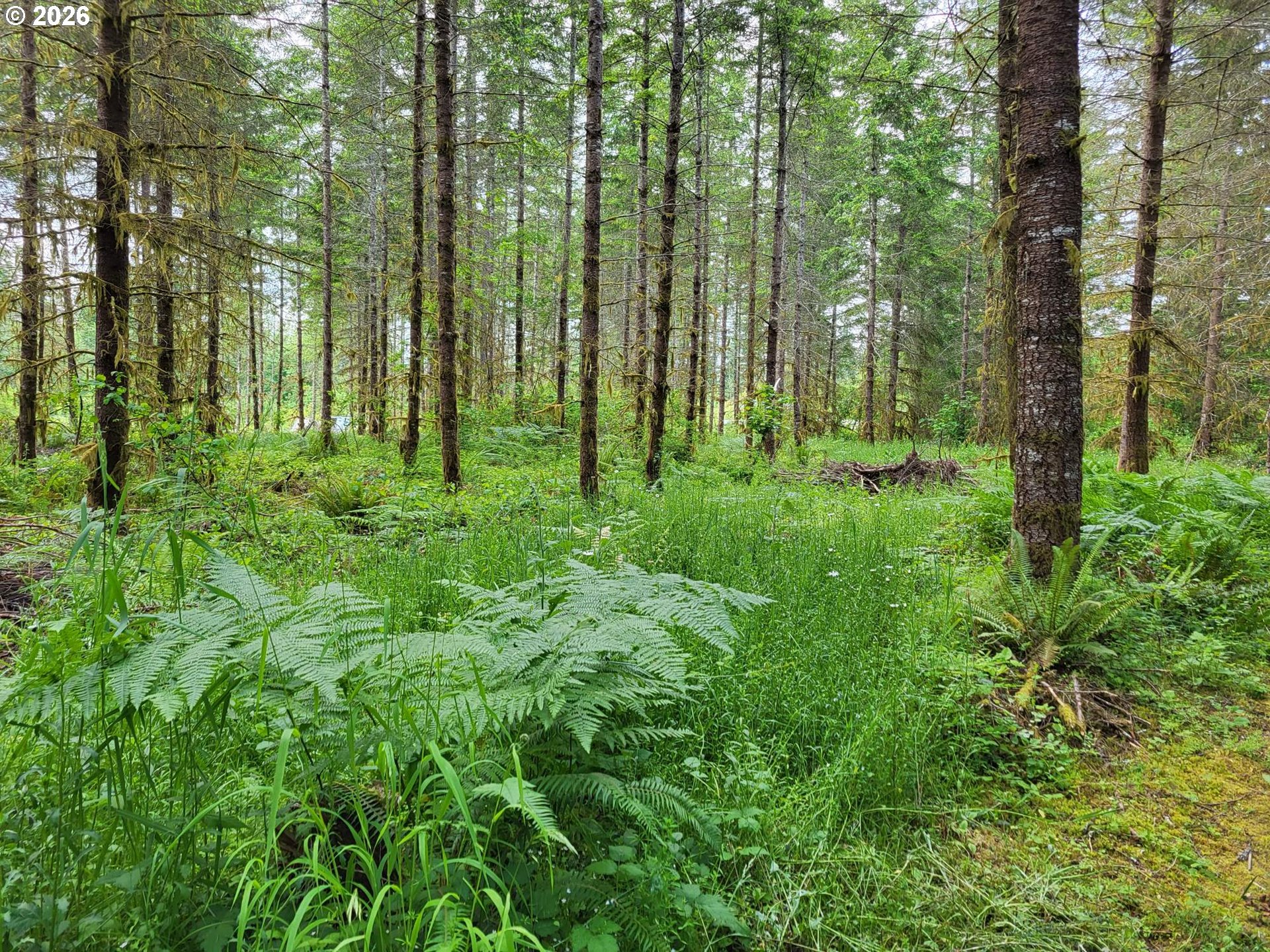 Land in Winlock 4