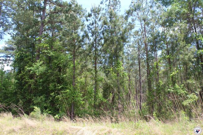 201 Nevada 25, Home with 0 bedrooms, 0 bathrooms and null parking in Rosston AR | Image 4