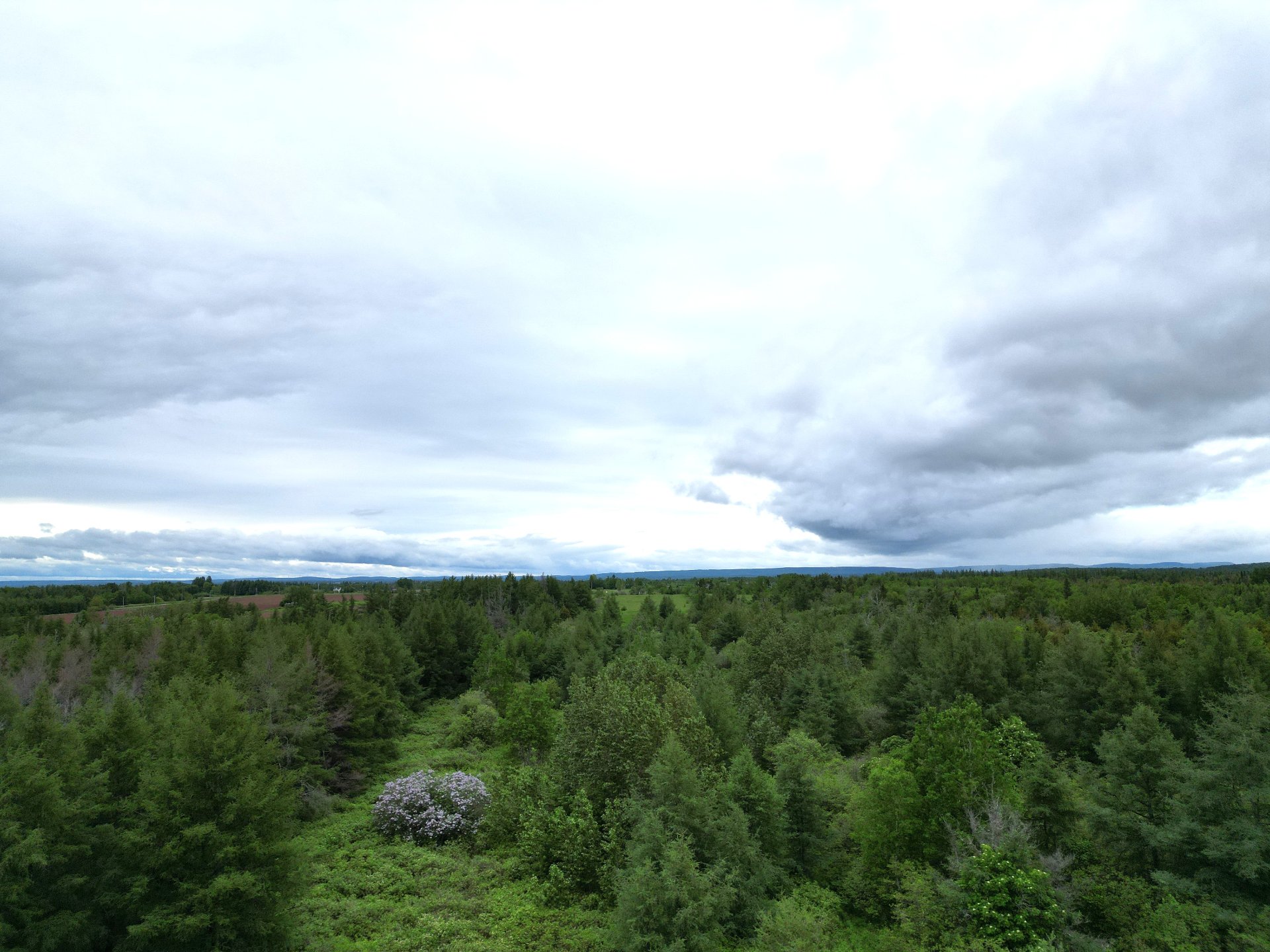 Land in Unknown 3