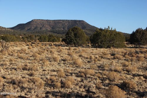 301118203-Wrangler R N Wrangler Ridge Rd, Seligman, AZ, 86337 | Card Image