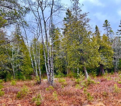 Lot 77-A Long Hill Road, Southwest Harbor, ME, 04679 | Card Image