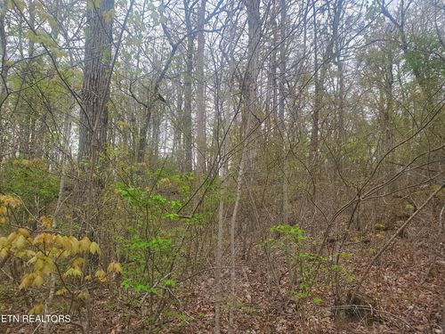 8646 Cherokee Trl, Crossville, TN, 38572-6212 | Card Image