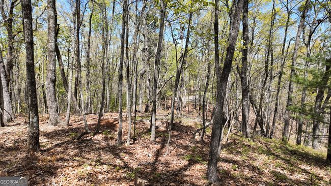 LOT 19 Heyden Ridge Dr, Home with 0 bedrooms, 0 bathrooms and null parking in Clarkesville GA | Image 7