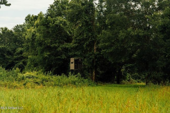 Castens Creek Pics-67 | Image 30