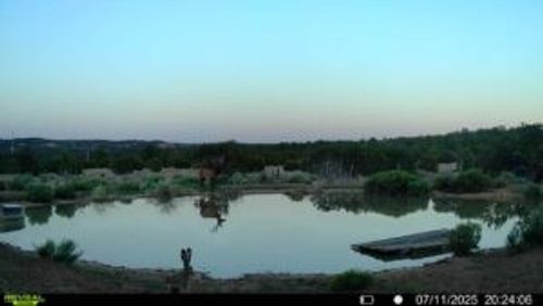 221 Five Gate Road, Other, NM, 87321 | Card Image