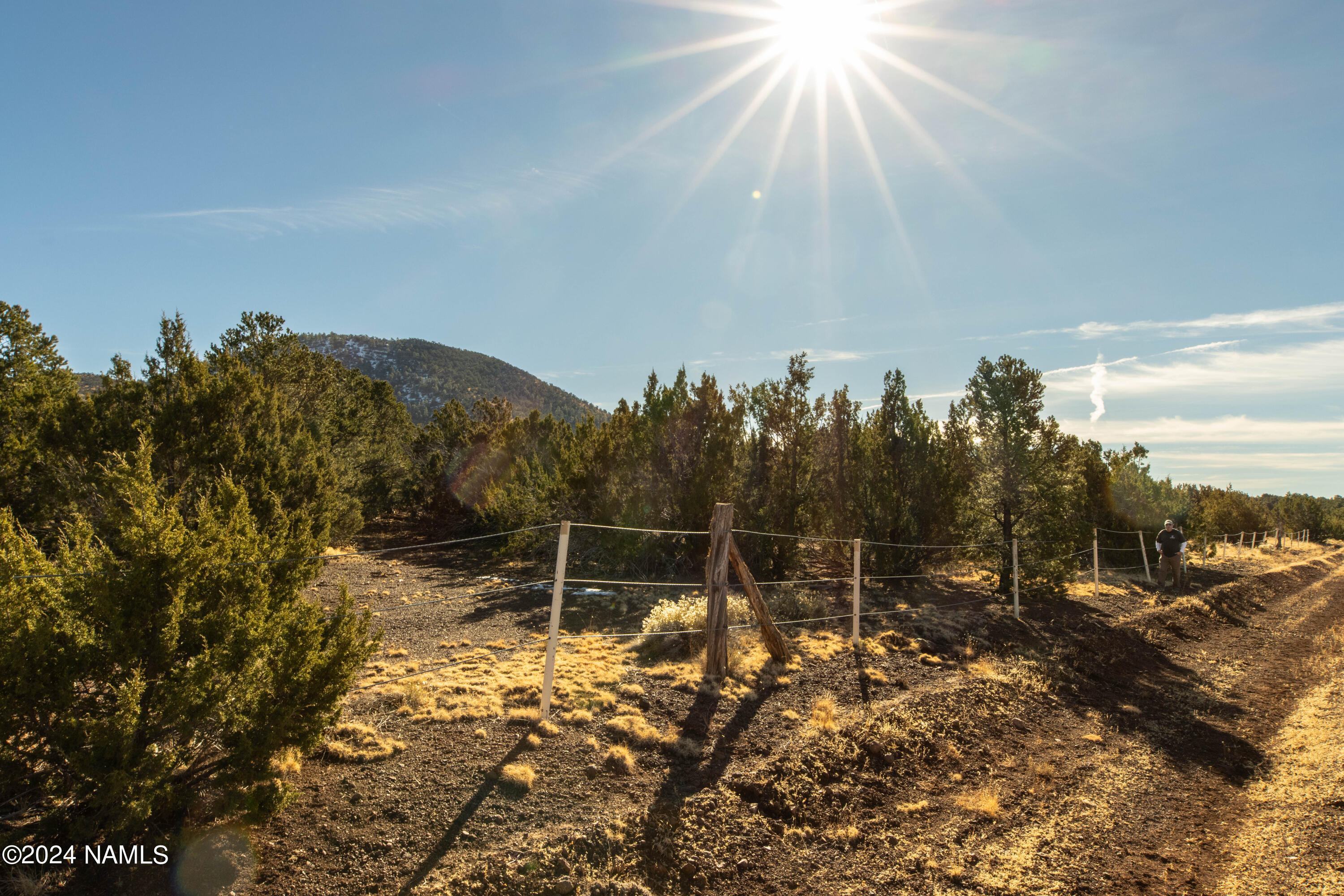 Land in Williams 4