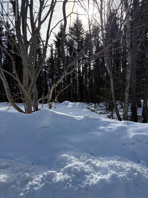 38 Spruce Grove Road, Parsons Pond, NL, A0K3Z0 | Card Image