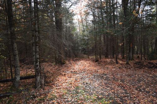 Lt1 Peshtigo River Road, Laona, WI, 54541 | Card Image