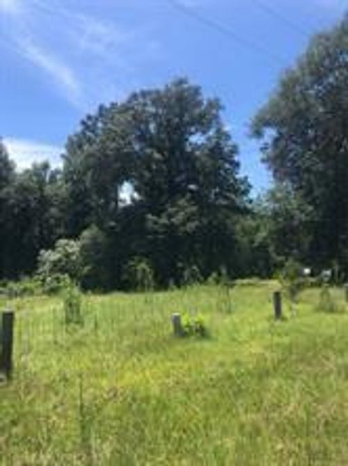 390 Story Dr, Livingston, TX, 77351 | Card Image