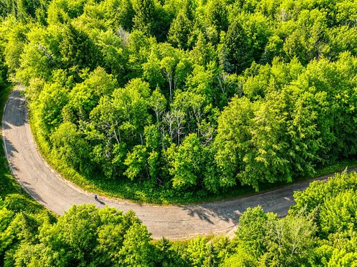 Lot 4 Stateline Lake Rd, Marenisco, MI, 49947 | Card Image