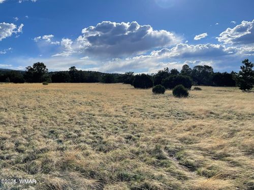 TBD Sky Crest Dr, Eagar, AZ, 85925 | Card Image