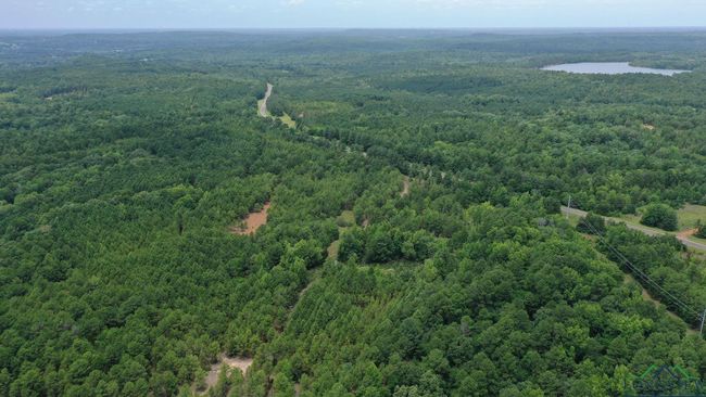 0000 Fm 3421, Home with 0 bedrooms, 0 bathrooms and null parking in Lone Star TX | Image 9