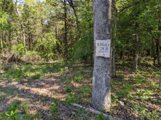 27B & 28B Shelby Lane, Home with 0 bedrooms, 0 bathrooms and null parking in Cecil AR | Image 11