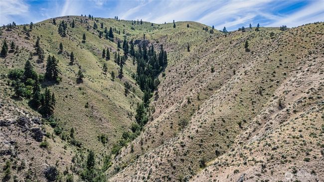 0 Number 2 Canyon Rd, Home with 0 bedrooms, 0 bathrooms and null parking in Wenatchee WA | Image 19