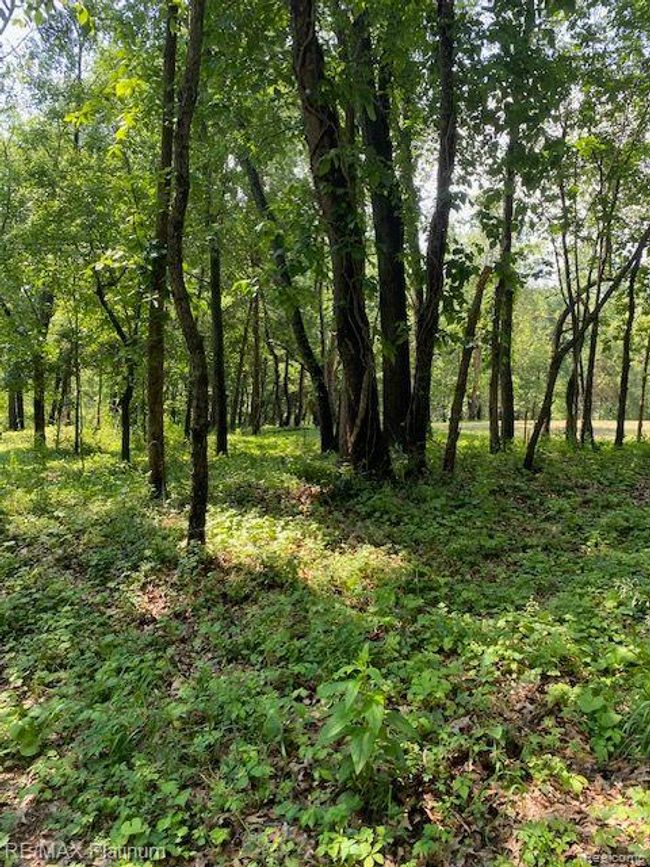 6 Sleaford Parcel 6   2.1 Acres Road, Home with 0 bedrooms, 0 bathrooms and null parking in Howell Township MI | Image 30
