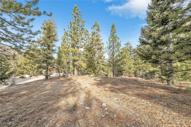 2194 Via Spes Nostra St, Home with 0 bedrooms, 0 bathrooms and null parking in Mount Charleston NV | Image 21