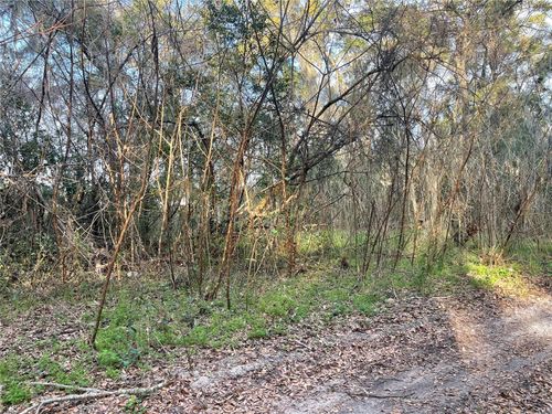 11-0 Nw 17th Ln, Ocala, FL, 34482 | Card Image