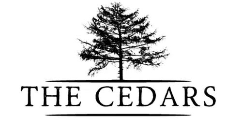 LOT 113 N Cedar Ct, COLUMBIA, MO, 65202 | Card Image