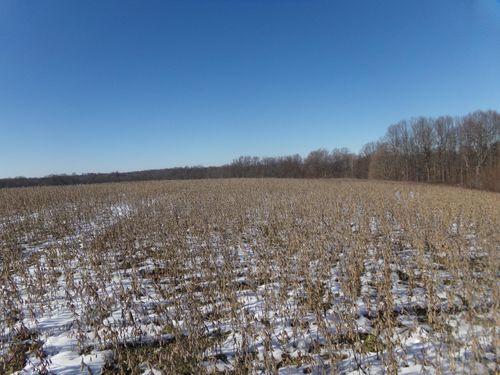 0000 Jacobs Loop, Waynesburg, KY, 40489 | Card Image