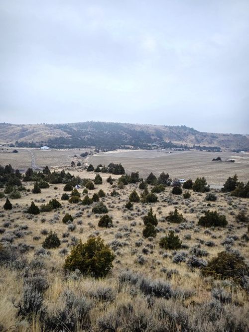 TBD Pole Gulch Rd, Three Forks, MT, 59752 | Card Image