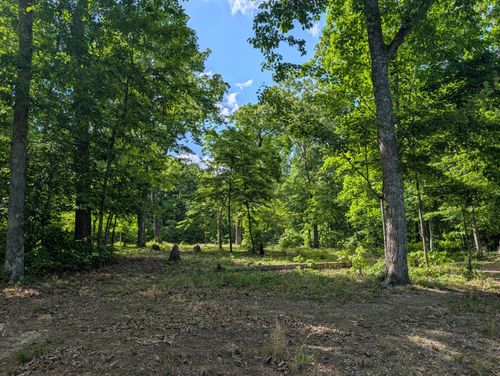 Lot 94/95 Red Oak Lane, Spring City, TN, 37381 | Card Image